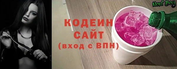 спиды Арсеньев